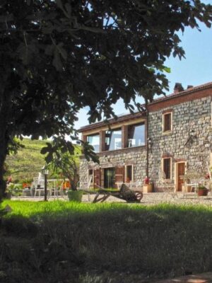 galletto